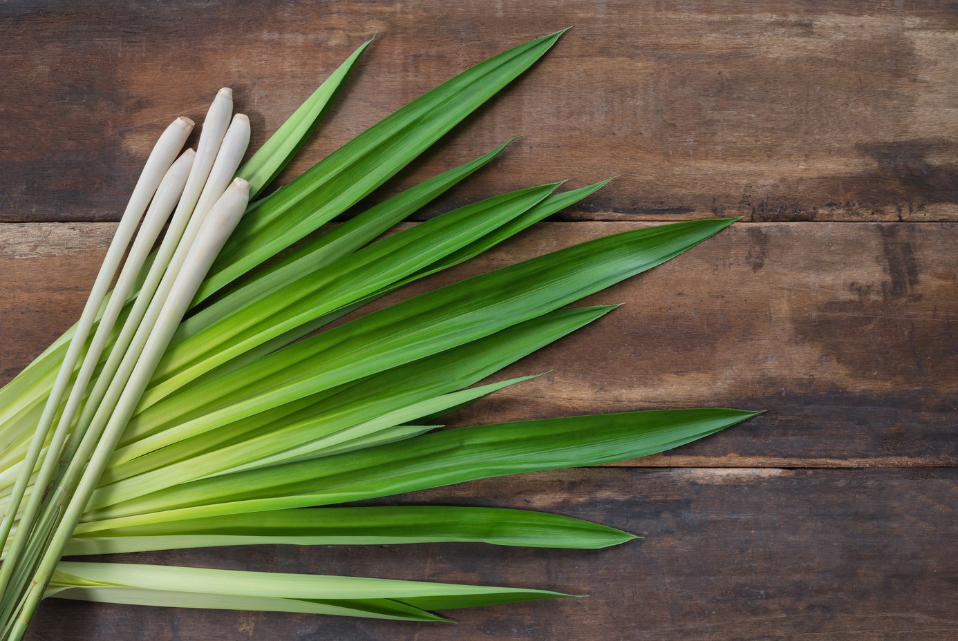 Lemongrass and fresh pandan leaves on wooden floor.