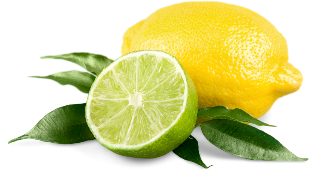 Fresh Lime and Lemon Isolated 